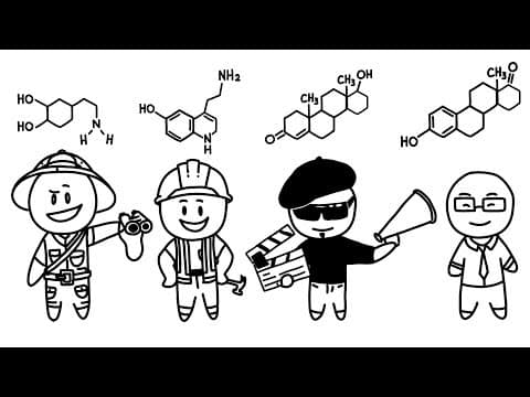 恋愛タイプ：冒険家、建設者、監督者、交渉者　 The Four Love Types : Explorer, Builder, Director, And Negotiator