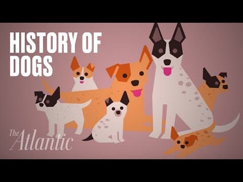 犬に関する起源（The Origin of Dogs）