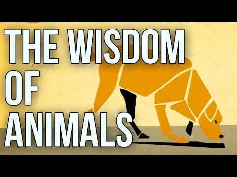 【英語で雑学】動物も人間の感情を読み取れる？動物の賢さ