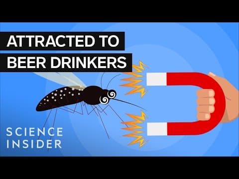 O型は蚊に好かれる？蚊に刺されやすい人の特徴とは