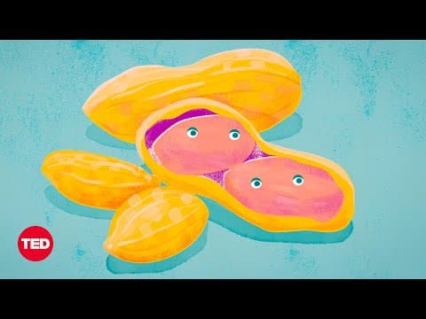 【TED-Ed】知っておこう！「食物アレルギー」とは？