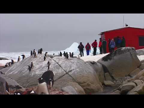 【英語で聞いてみよう】南極はどこに属しているのか？