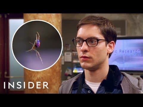 テレビや映画に出てくる虫はどのように訓練を受けるのか？　How Bugs Are Trained For TV And Movies