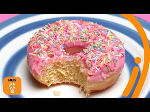 The science behind why doughnuts are so hard to resist | BBC Ideas