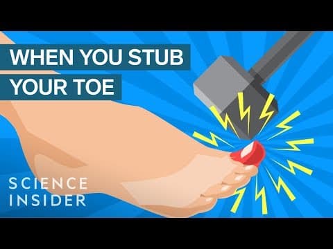どうして足のつま先をぶつけた時こんなにも痛いの？　Why Stubbing Your Toe Hurts So Much