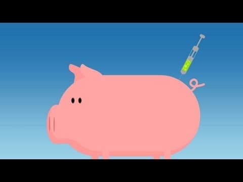 What Is Organic Food?