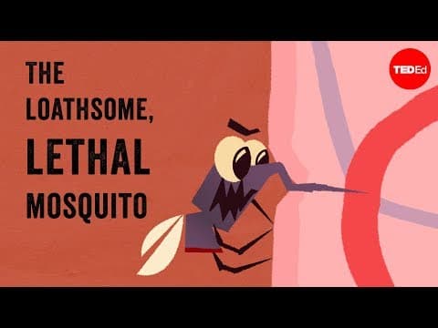 【TED-Ed】恐怖！世界で最も命を奪っている「蚊」について