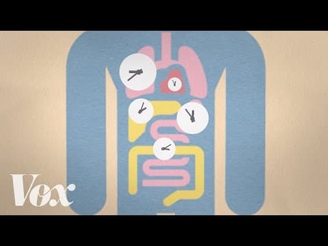 「朝が苦手」なのは、実は体質や遺伝が原因！？