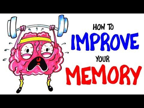 今すぐ記憶力を向上させる方法　How To Improve Your Memory RIGHT NOW!