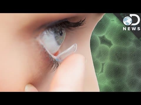 コンタクトレンズは目に影響があるのか？　（Are Contact Lenses Damaging Your Eyes?）