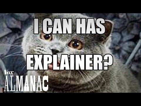 なぜミームのフォントは全部同じなの？　The reason every meme uses that one font