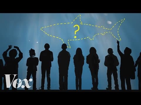 【英語で雑学】水族館にホオジロザメがいない理由とは？