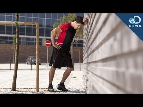 【英語で雑学】逆効果かも！？運動しすぎが身体に良くない理由とは？