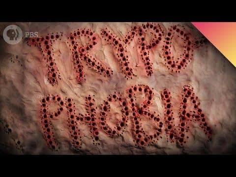 穴がいっぱい〜！あなたは本当に集合体恐怖症じゃない？ (Are You Afraid of Holes?)