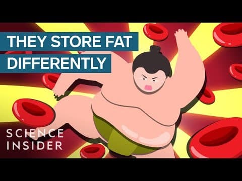 相撲の力士は毎日 7000 カロリー摂取する中、どう健康でいられるのか？ How Sumo Wrestlers Stay Healthy On 7,000 Calories A Day