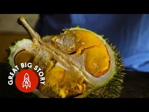ドリア：くさいが、食べると美味しい　Durian Fruit: A Smell So Rotten, a Taste So Sweet