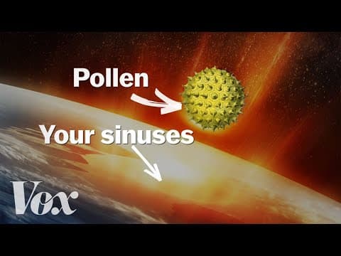 ツライ花粉症！年々ひどくなるのはなぜ？！（Why your allergies get worse every year）