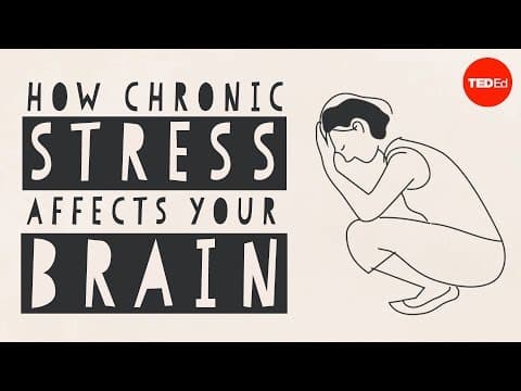 【TED-Ed】ストレスが脳に与える影響（How stress affects your brain - Madhumita Murgia）