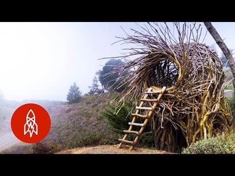 Meet the Man Building Human-Sized Nests