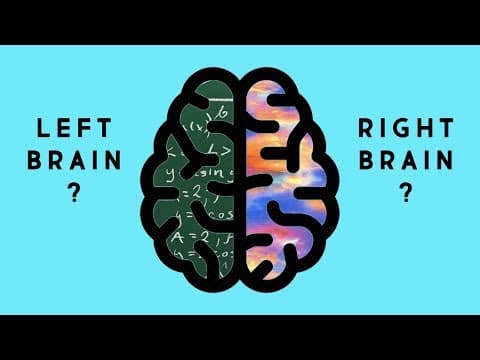 あなたはどっち？「右脳派」と「左脳派」の違い