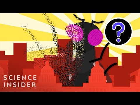 もし虫が全部いなくなってしまったら？　What If All Insects Disappeared?