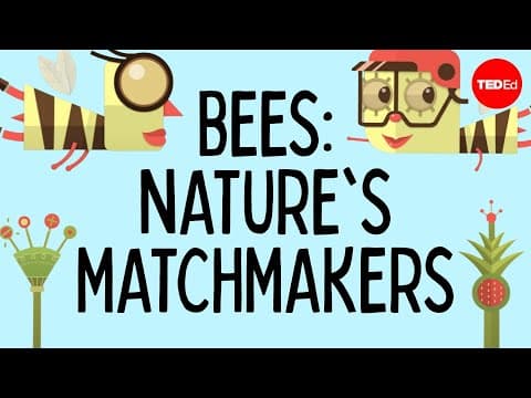 ハナバチが植物の繁殖に関わる仕組み　（How bees help plants have sex - Fernanda S. Valdovinos）