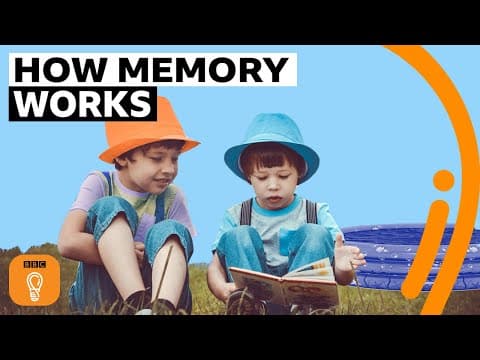 一番最初にあった記憶って覚えている？記憶形成のメカニズム（Why your first memory is probably wrong | BBC Ideas）