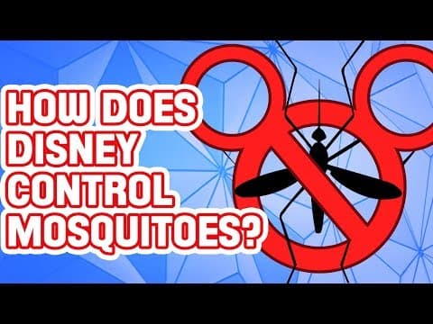 Why Are There No Mosquitoes at Disney World?