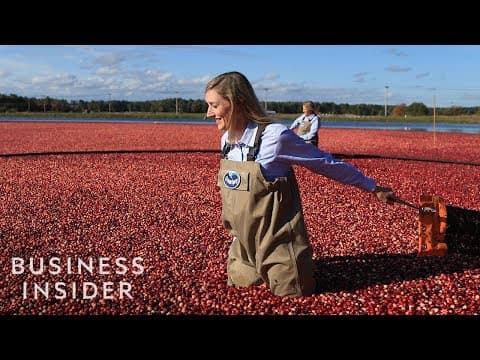 オーシャンスプレーが年間220億ものクランベリーを収穫した方法　How Ocean Spray Harvests 220 Billion Cranberries A Year