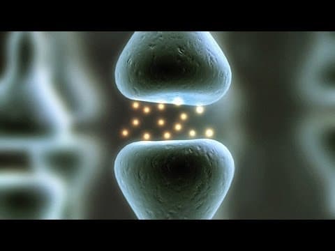 【TED】「まだ」これから！上達できると信じる力