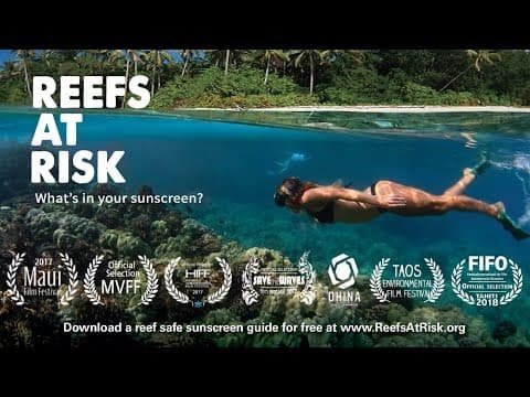 危険なサンゴ礁 - ハワイでは日焼け止め禁止？（Reefs At Risk - Hawaii bans sunscreens with oxybenzone）