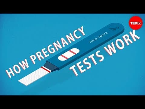 How do pregnancy tests work?