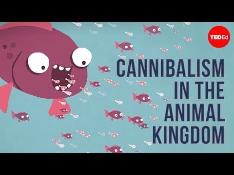Cannibalism in the Animal Kingdom - Bill Schutt