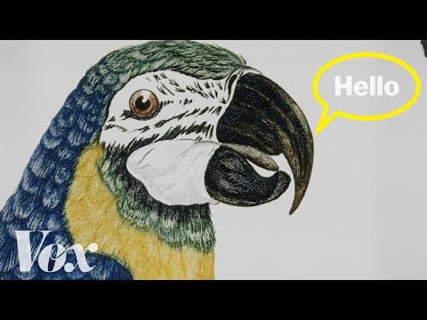 【英語で雑学】オウムはなぜ人間のように喋ることができるの?