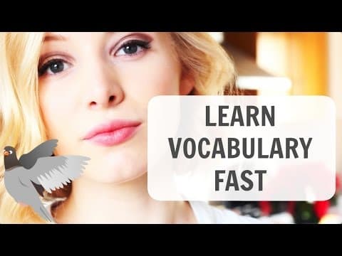 【ルーシーと英語】必見！単語の覚え方、勉強の仕方
