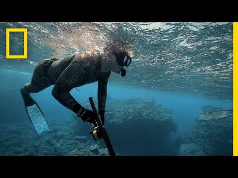 人気シェフゴードン・ラムゼイ、魚突きを学ぶ　（Gordon Ramsay Learns to Spearfish | Gordon Ramsay: Uncharted）