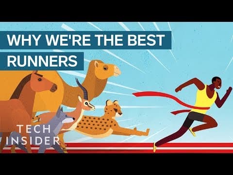 人類が地球上で最速のランナーに　How Humans Evolved to Become the Best Runners on the Planet