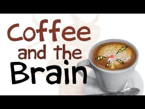 依存性がある？コーヒーが脳に与える影響とは