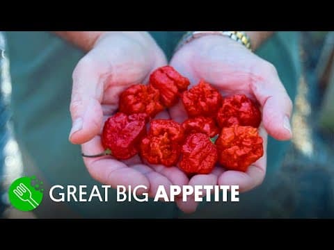 世界一辛いトウガラシを育てる　Breeding the World’s Hottest Pepper