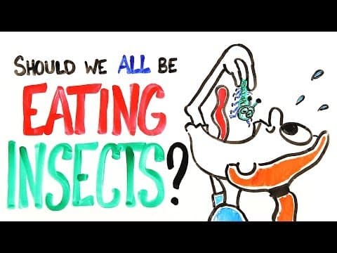 Should We All Be Eating Insects?