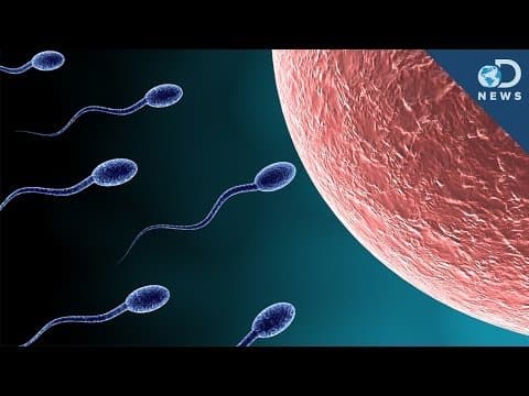 精子競争は人間にも実在する？！