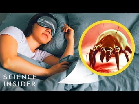 シーツを洗わないとどうなる？　What Happens When You Never Wash Your Sheets