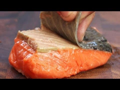 サケについてあなたが知らないこと　What You Probably Never Knew About Salmon