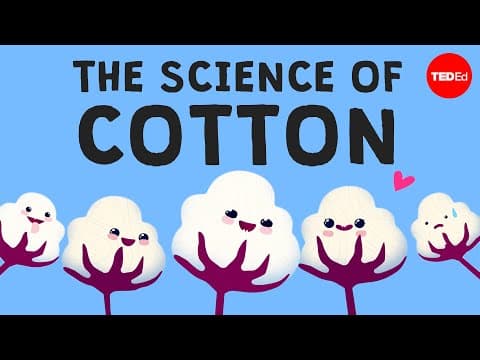 【TED-Ed】万能すぎ！「コットン（綿）」の歴史