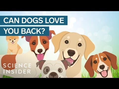 愛犬は本当にあなたに愛情をもっているのか？　Does Your Dog Really Love You?