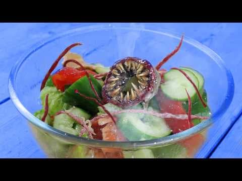 モンスター野菜でサラダを作る方法　How to make a salad from possessed vegetables
