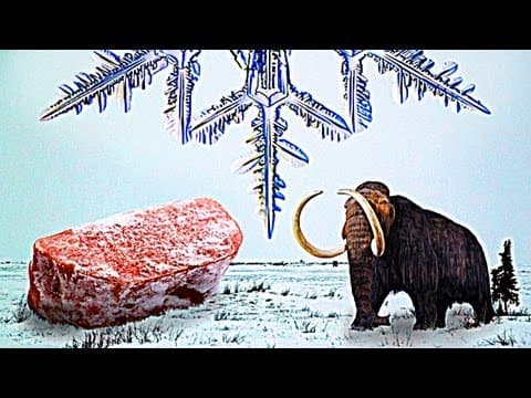 【英語で雑学】超便利な「冷凍食品」はどのようにして誕生した？