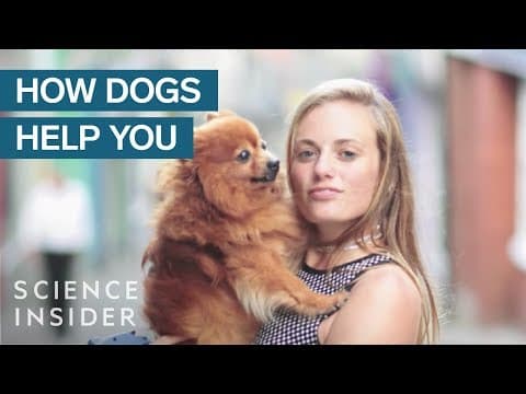 犬を飼うと脳と体にどんな変化が現れるのか？