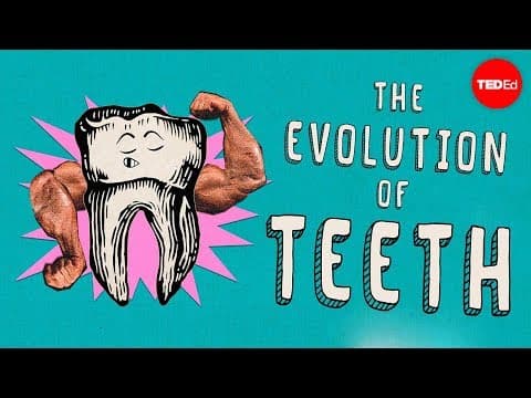 歯はどうやって進化を遂げたのか？　How did teeth evolve? - Peter S. Ungar
