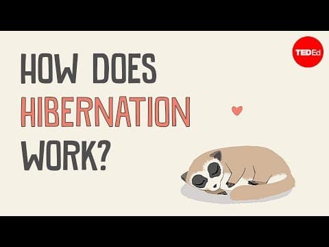 冬眠とは何だろう？　（How does hibernation work? - Sheena Lee Faherty）